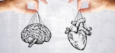 hjerne og hjertet henger sammen